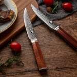 4pc Edge Series Damascus Steel Steak Knife Set