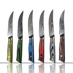 4pc Colorful Damascus Steel Steak Knives Set